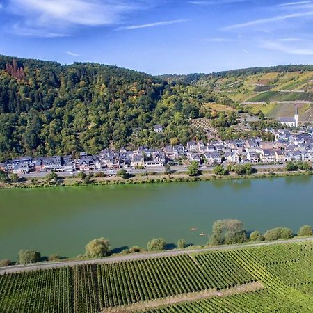 Weingut Pension Gibbert-Pohl Briedel Exteriör bild