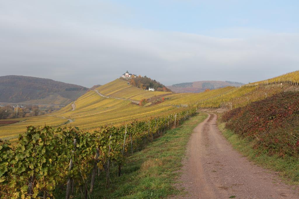 Weingut Pension Gibbert-Pohl Briedel Exteriör bild