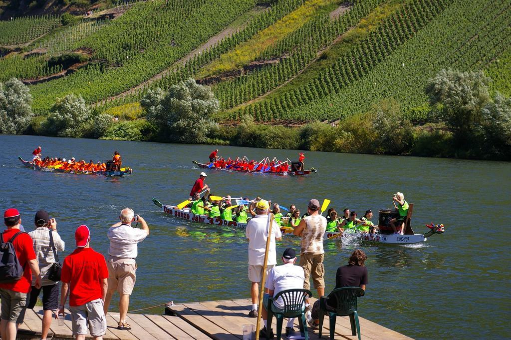 Weingut Pension Gibbert-Pohl Briedel Exteriör bild
