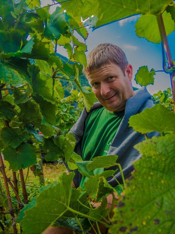Weingut Pension Gibbert-Pohl Briedel Exteriör bild