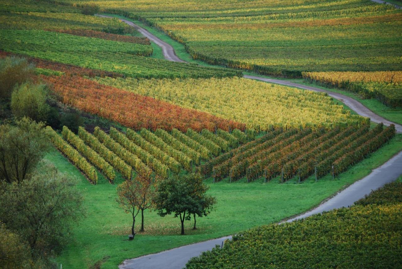 Weingut Pension Gibbert-Pohl Briedel Exteriör bild