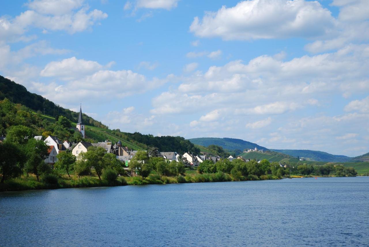 Weingut Pension Gibbert-Pohl Briedel Exteriör bild
