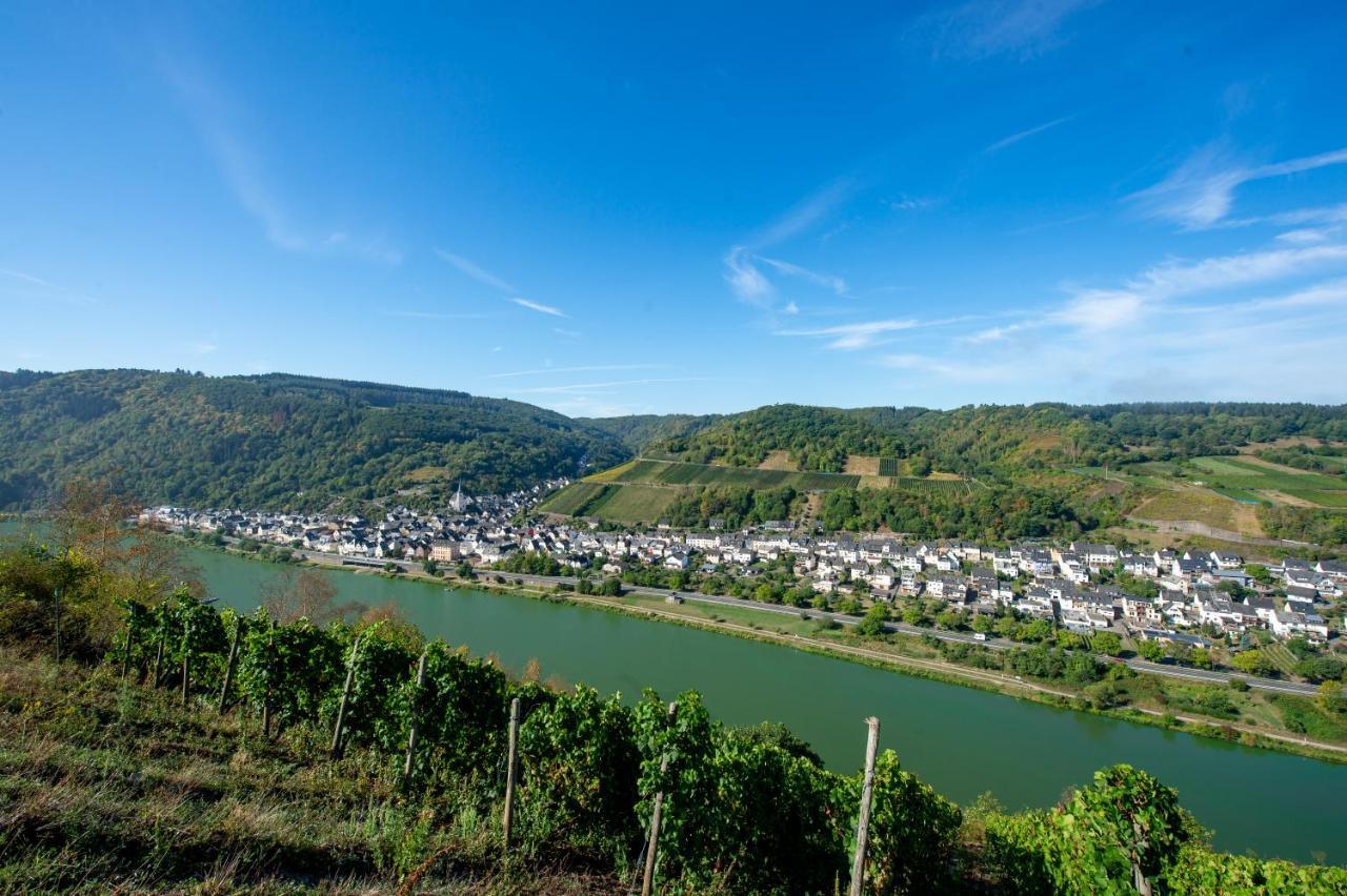 Weingut Pension Gibbert-Pohl Briedel Exteriör bild