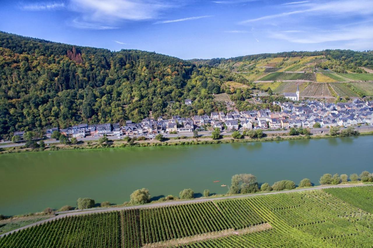 Weingut Pension Gibbert-Pohl Briedel Exteriör bild